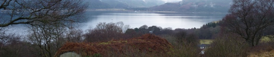 Site, Performance, and Environmental Change